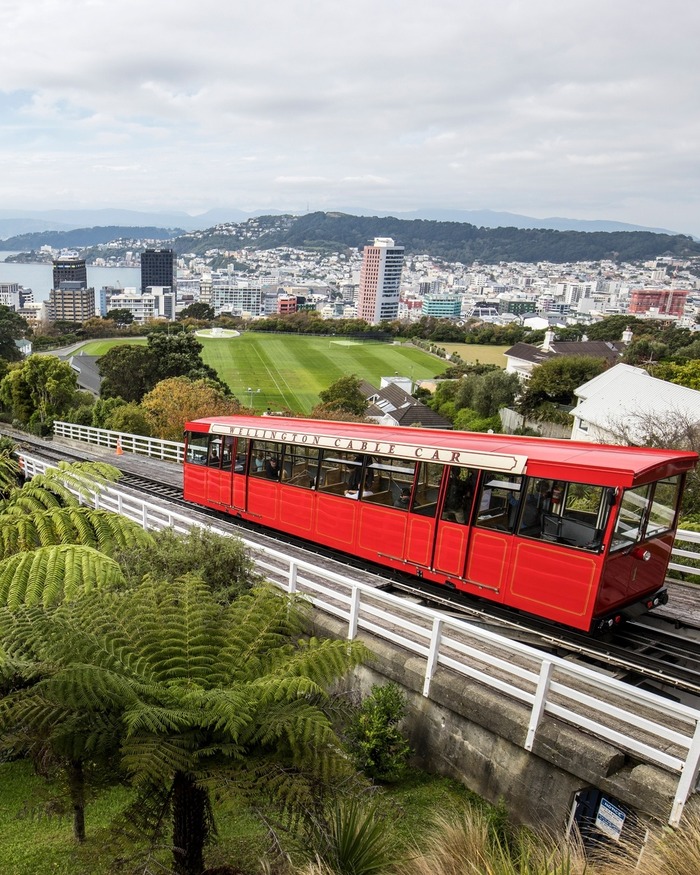 Wellington Destination-2