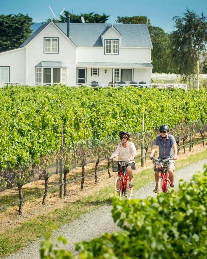 couple-biking-through-a-vineyard-in-martinborough